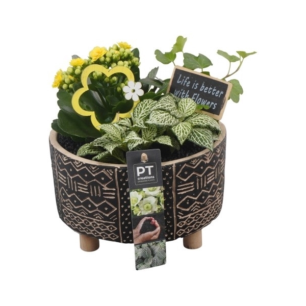 <h4>PTIB6440 Arrangement Indoor in keramiek pot</h4>