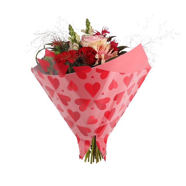 <h4>Hoes 35x35cm Combina OPP35/Kraft 45gr Joli 250/doos</h4>