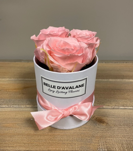 Box rd 10cm wit-roze