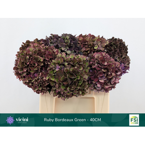 Ruby Bordeaux Green - 40CM