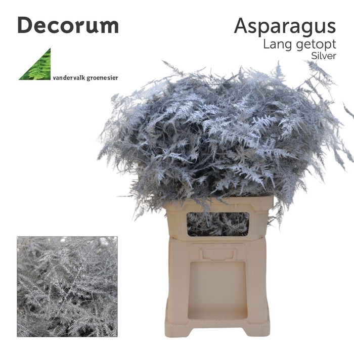 <h4>Asp lang getopt Silver</h4>