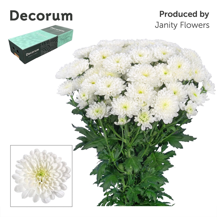 <h4>Chr T Altaj Decorum exportbox</h4>