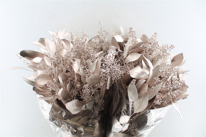 Euca Populus Berry Metal Champagne