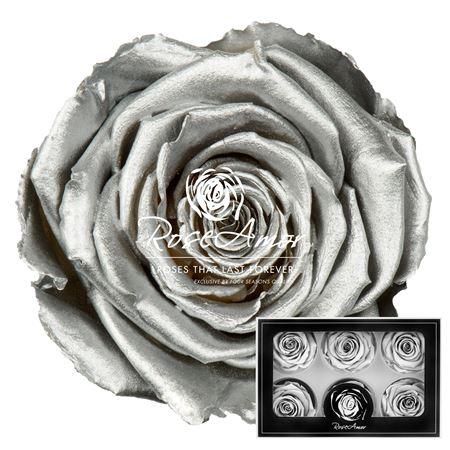 <h4>Lplus Metallic Silver</h4>