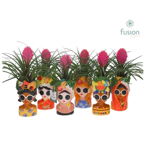 Keramiek Wereldvrouwen met Tillandsia