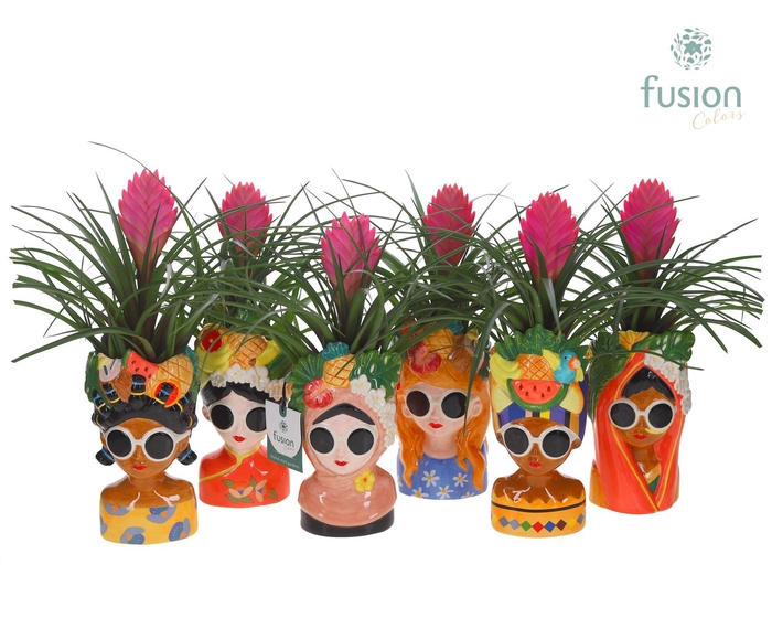 <h4>Keramiek Wereldvrouwen met Tillandsia</h4>