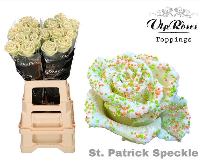 R GR ST. PATRICK SPECKLE