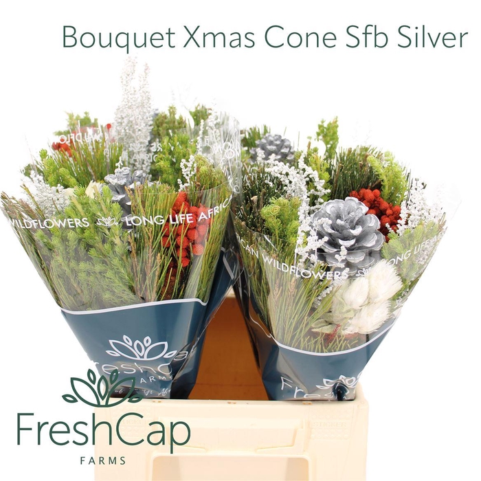 <h4>Bouquet Xmas Cone Sfb Silver</h4>