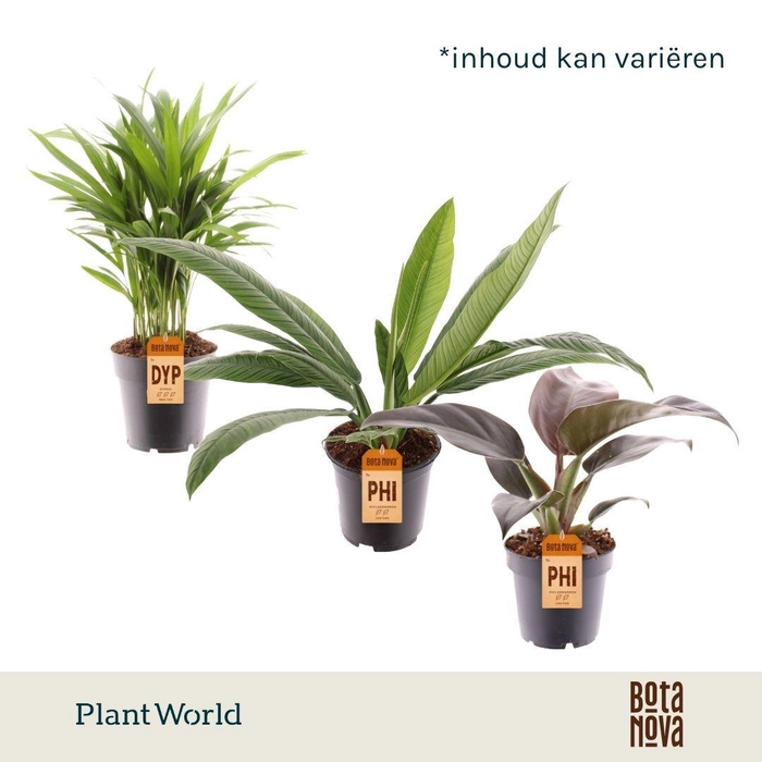 <h4>Groenmix Island Saver</h4>
