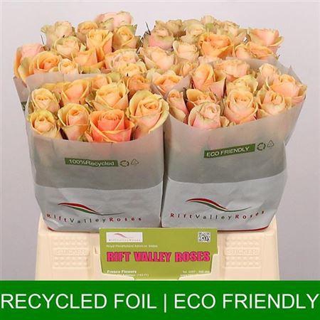 <h4>R Gr Alchemy</h4>