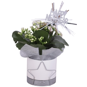 New Year Arr. Indoor Ceramic Pot Starframe Silver Ø10cm 1PP