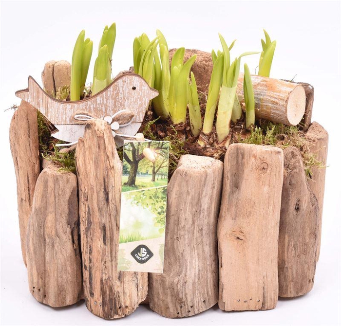 <h4>Druivenhout ovaal 21x14.5cm</h4>