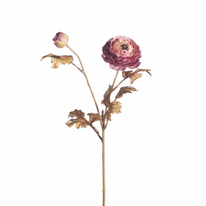 <h4>AF Ranunculus x2 L61cm Purple</h4>