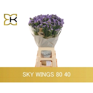 LIM S SKY WINGS