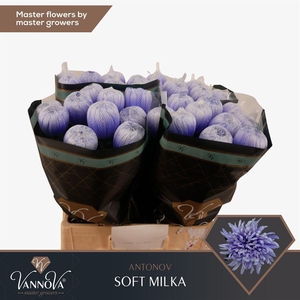 Chr G Antonov Klb Soft Milka
