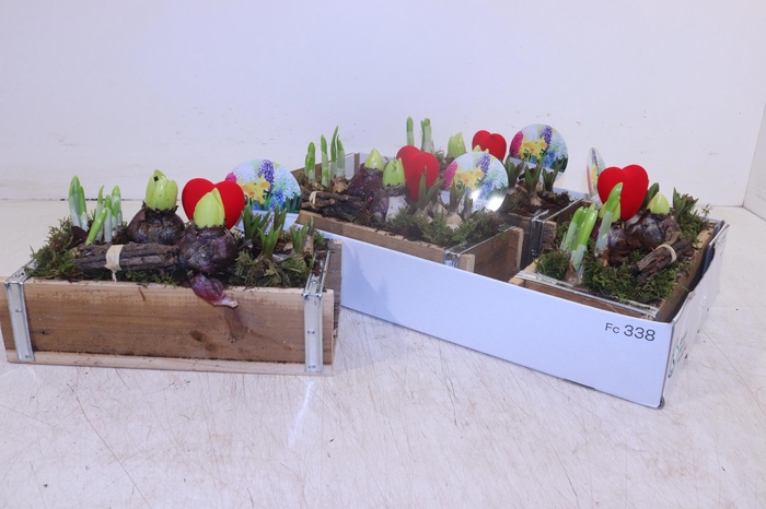 <h4>ARR BOL KNOLGEWAS</h4>