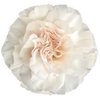 DIAN.ST. Lizzy Light Peach