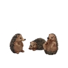 Deco Hedgehodge Ass Per 1 5x7cm