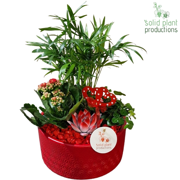 <h4>CE003 Loes Red VM</h4>
