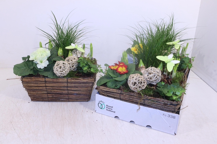 <h4>ARR TUINPLANTEN</h4>