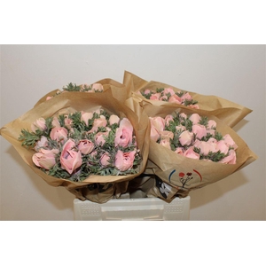 Anem Marianne Powder Salmon