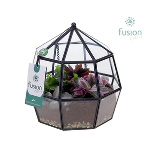 Planter Geometrisch met Arrangement