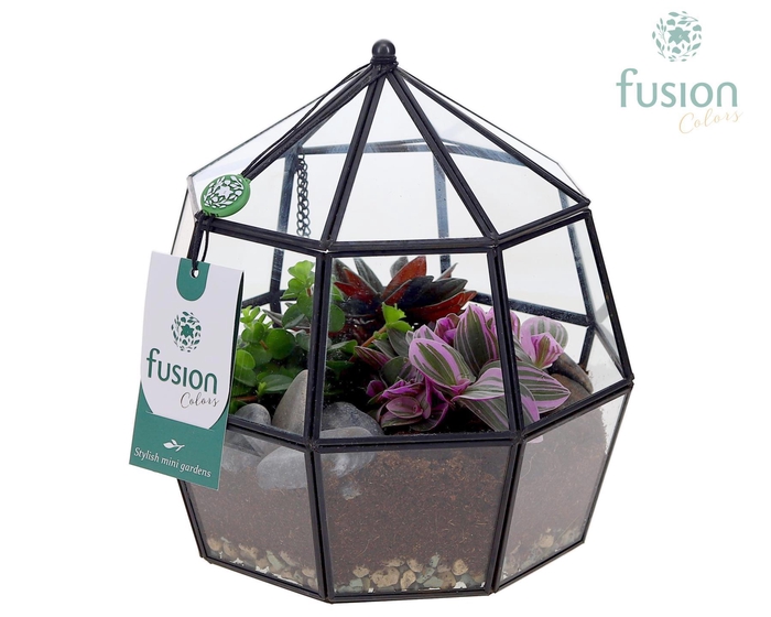 <h4>Planter Geometrisch met Arrangement</h4>