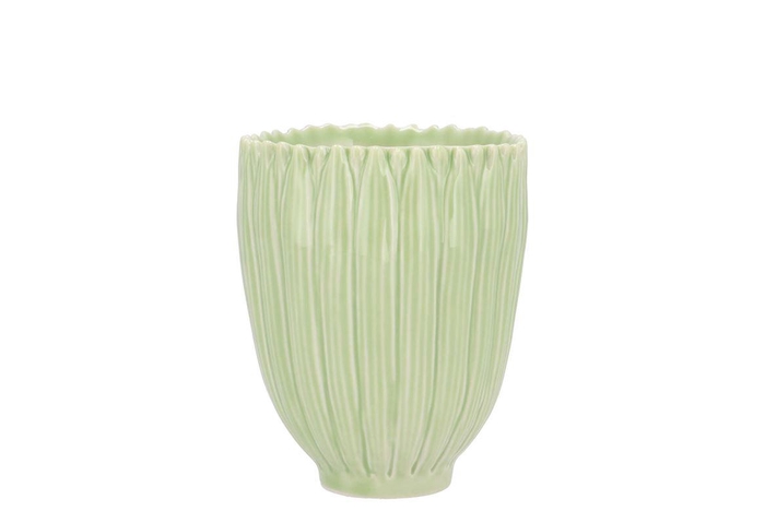 <h4>Bloom Daisy Dreamy Green Cup 8x8x9cm Nm</h4>