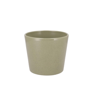 Ceramic Kiwi Stone Pot 11cm