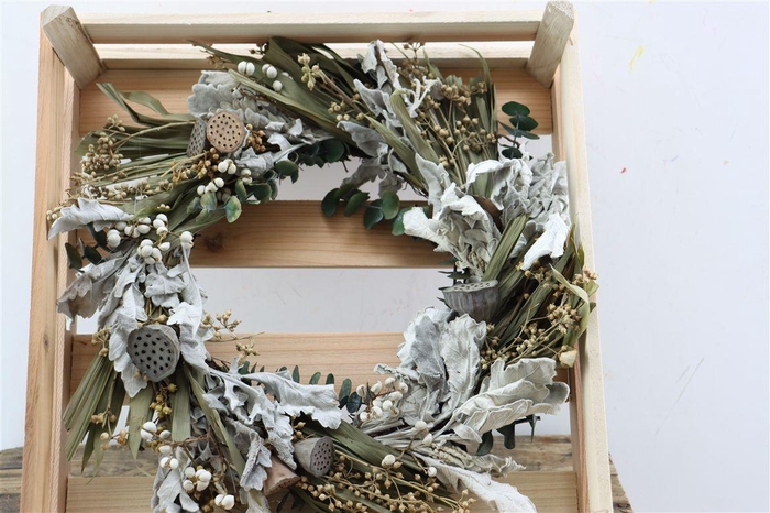 <h4>Wr Christmas Silverleave 35cm</h4>