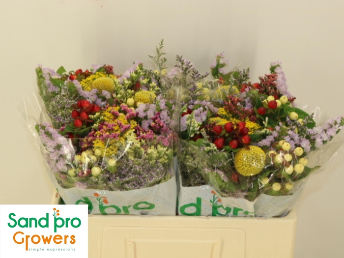 <h4>GEM ZOMERBOEKET</h4>