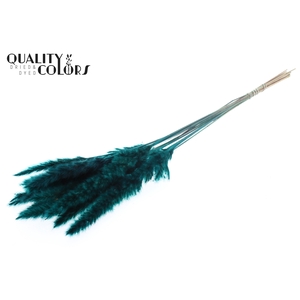 Fluffy Pampas 10pc/bunch Turquoise