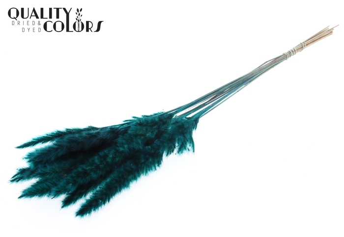 <h4>Fluffy Pampas 10pc/bunch Turquoise</h4>