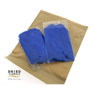 Dried Ostrich Feather Dark Blue Small