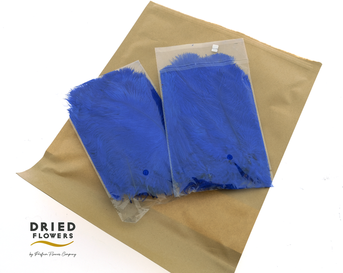 <h4>Dried Ostrich Feather Dark Blue Small</h4>