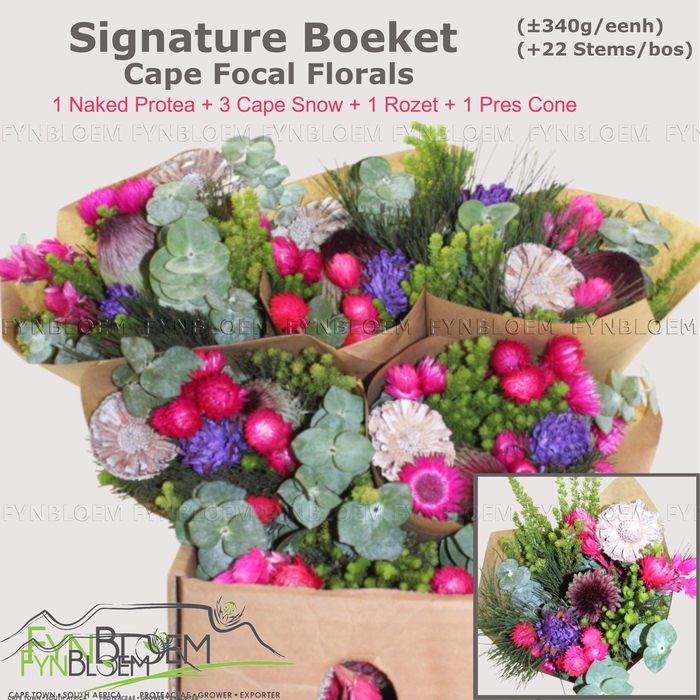 <h4>KAAPS GROE GEM IN BS</h4>