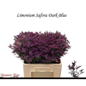 LIM SAF DARK BLUE