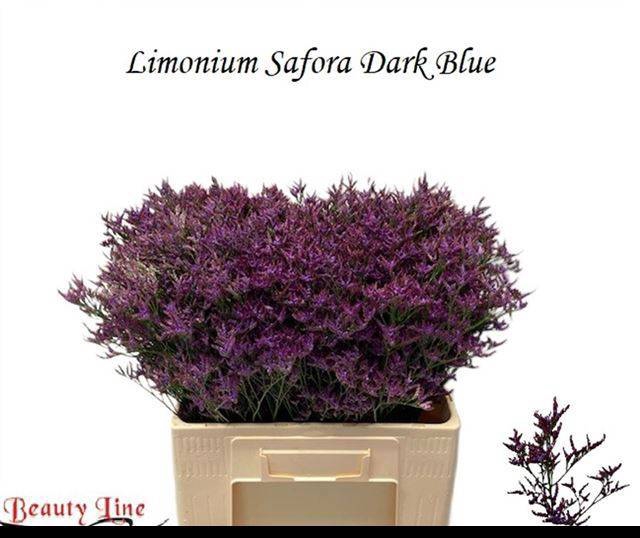 <h4>LIM SAF DARK BLUE</h4>
