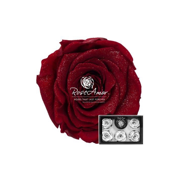 <h4>Xl Diamond Dust Red01</h4>