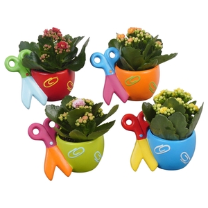 Arr.   Planten L%