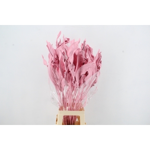 DF Strelitzia Leaf Light Pink