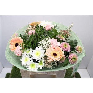 Gem Boe Middel Zalm 25 Stelen Vers