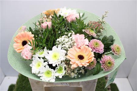 Gem Boe Middel Zalm 25 Stelen Vers