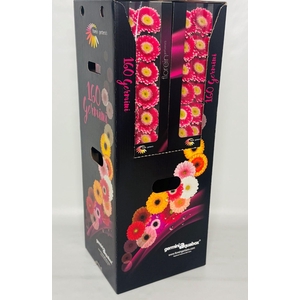 GE MI WONDERWALL Aquabox *160