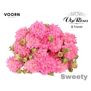 R TR SWEETY