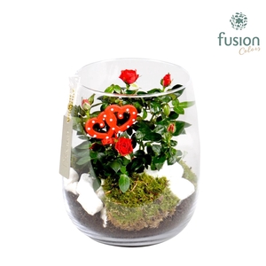 Windlicht met Arrangement