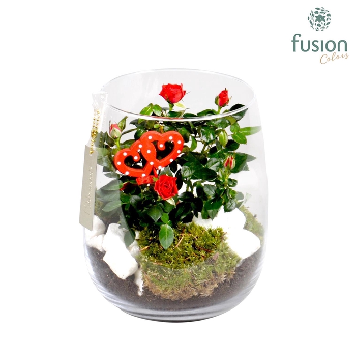 <h4>Windlicht met Arrangement</h4>