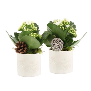 61688: X-mas arrangement