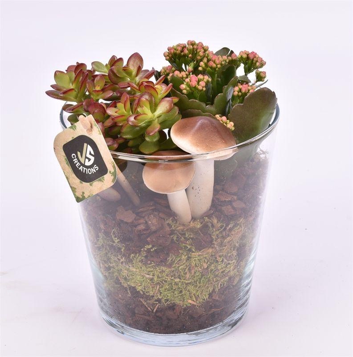 <h4>Glas pot 16 cm</h4>