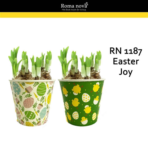 <h4>1187 - Easter Joy (Tete a Tete)</h4>